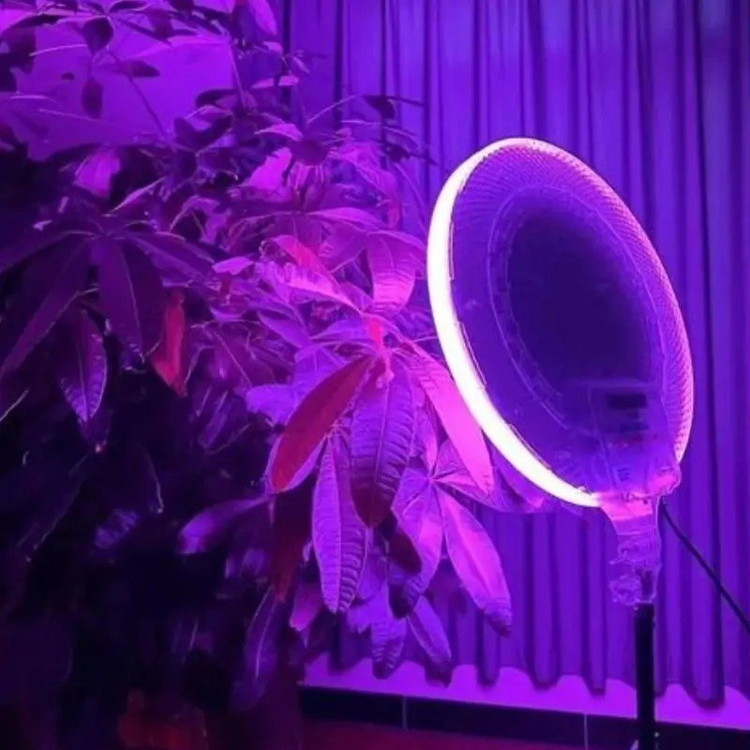 نور ثابت ال ای دی مدل GS450 RGB